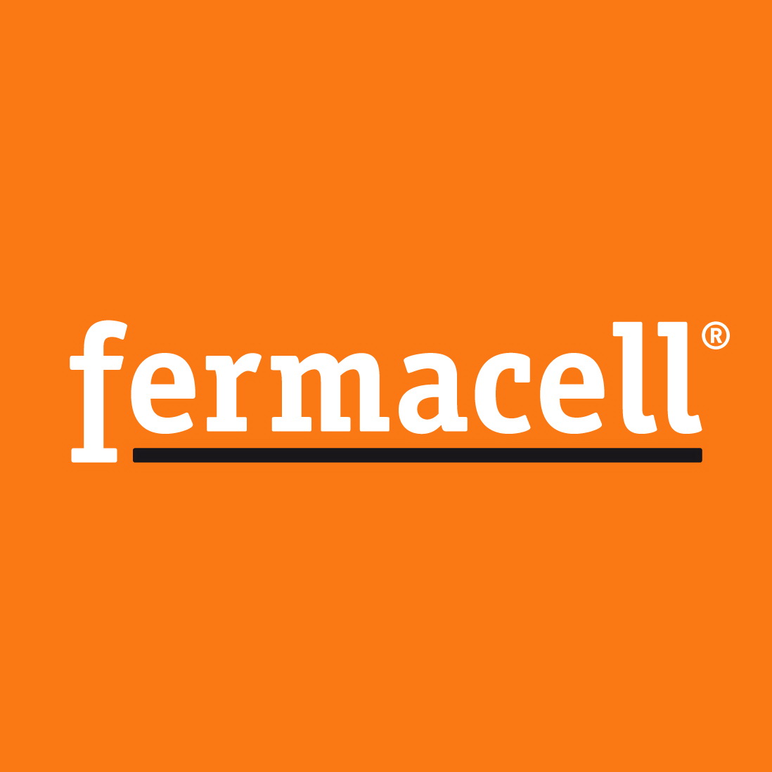 fermacell.ch Gipsfaserplatte Fertighaus Systembau Holzbau Elementbau